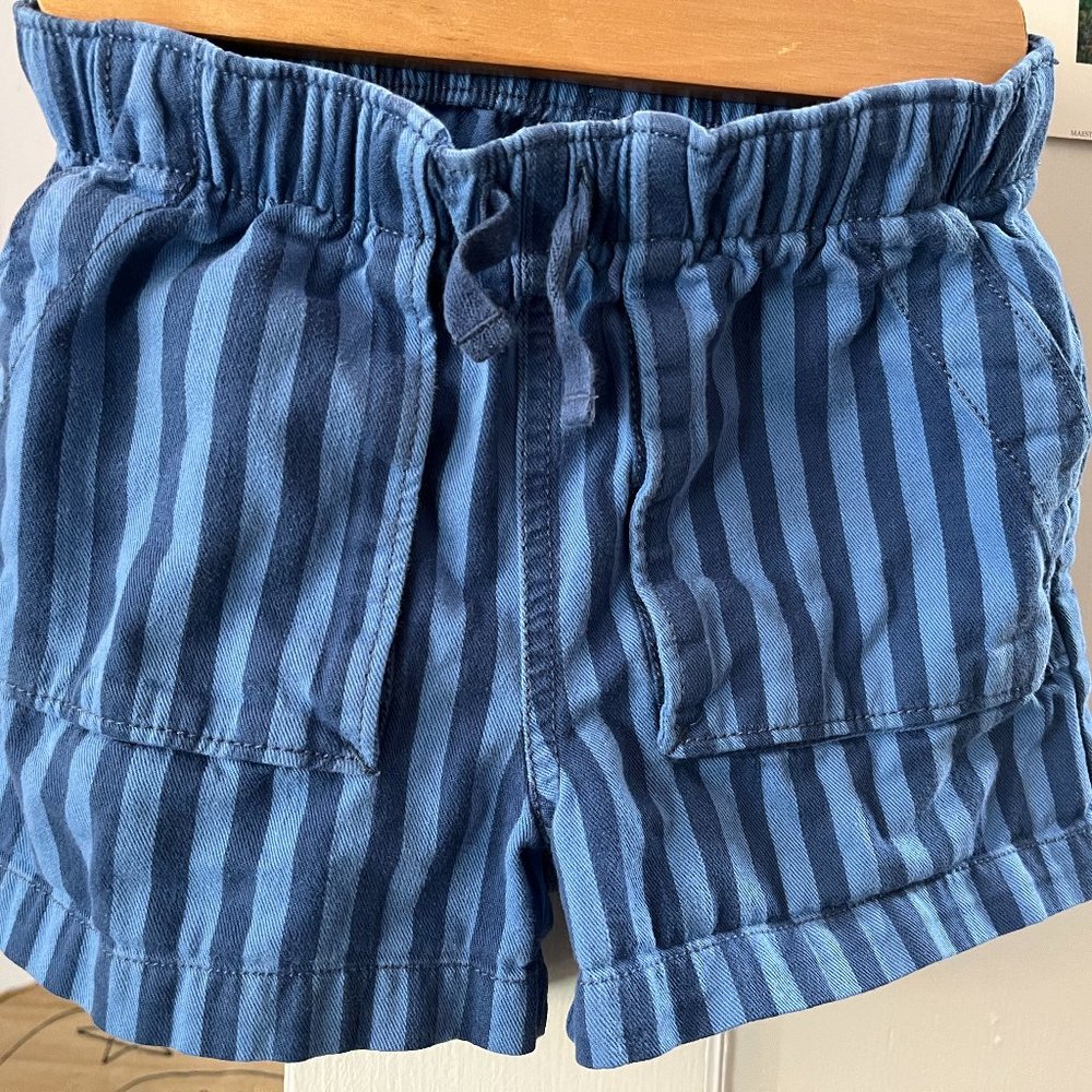 Tea Collection Size 5 Cotton Shorts